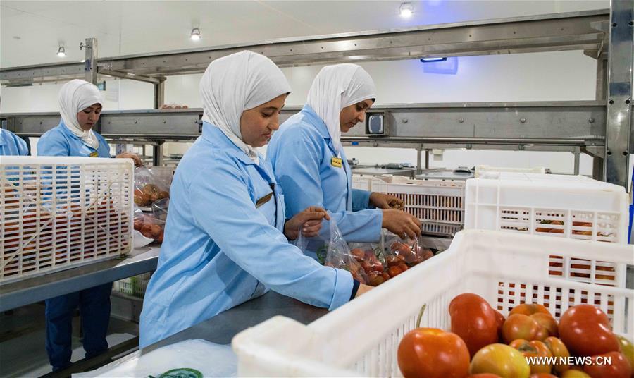 ????? ???? (???????): ?????? ????? ???????? ??????? ????? ?? ????? ??????? ??????? ????