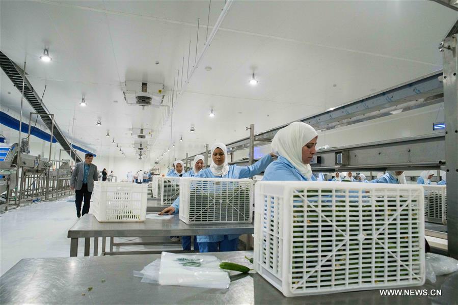 ????? ???? (???????): ?????? ????? ???????? ??????? ????? ?? ????? ??????? ??????? ????