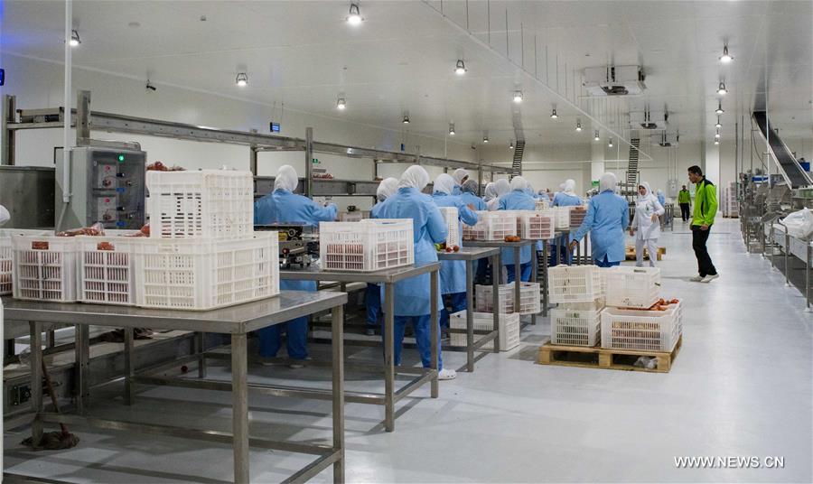 ????? ???? (???????): ?????? ????? ???????? ??????? ????? ?? ????? ??????? ??????? ????