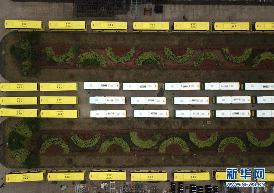 ???? ????? ???? 600 ????? ????? ????? ????????