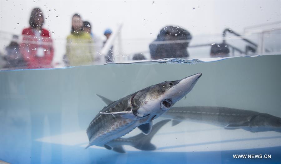 ????? ???? 700 ?? ??? ????? ?????? ?? ??? ?????????