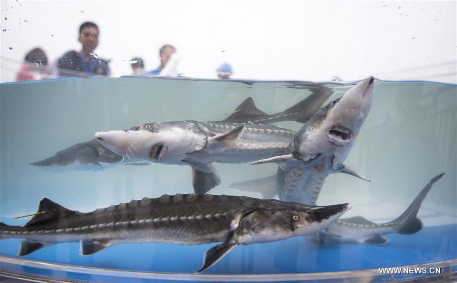 ????? ???? 700 ?? ??? ????? ?????? ?? ??? ?????????