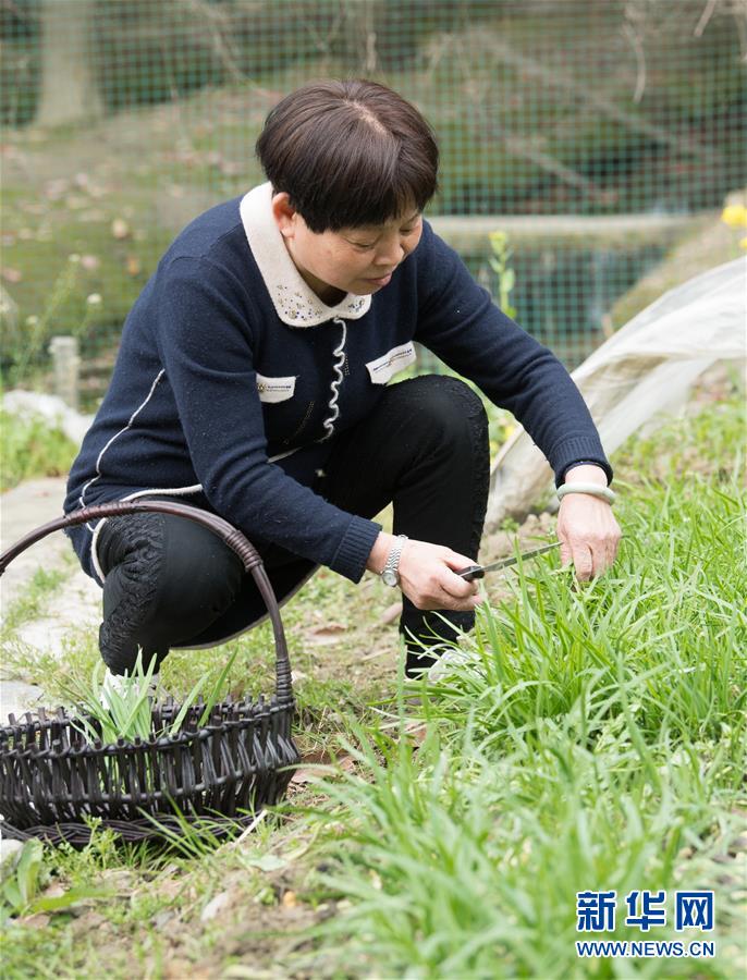 ??????: ????? ??????? ???? ???????? ????????