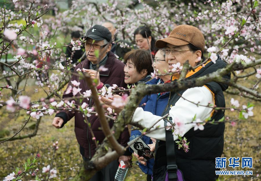 ??????: ????? ??????? ???? ???????? ????????