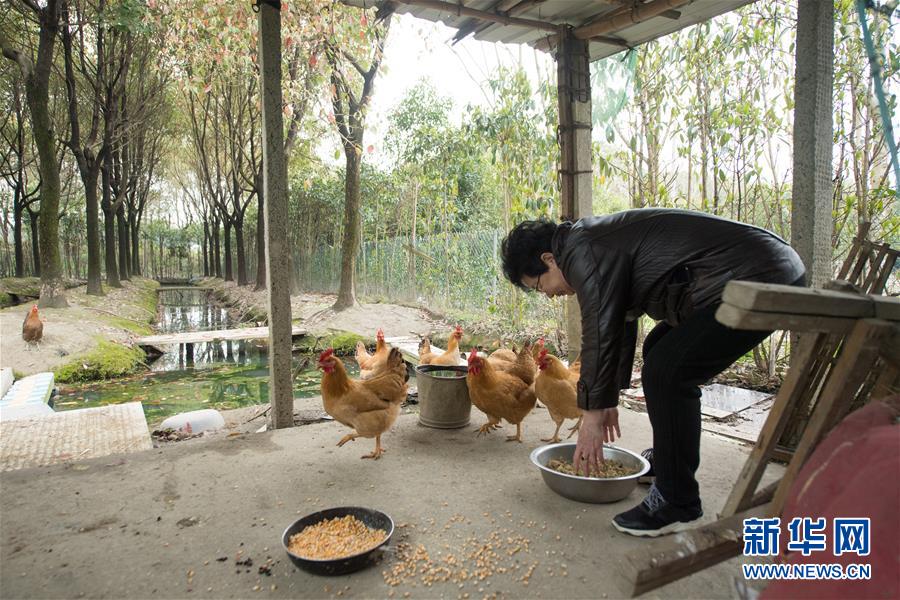 ??????: ????? ??????? ???? ???????? ????????