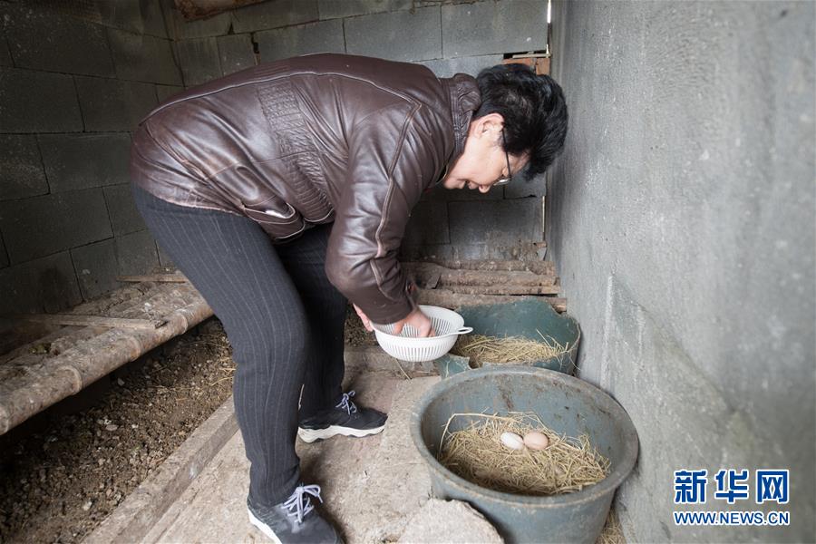 ??????: ????? ??????? ???? ???????? ????????