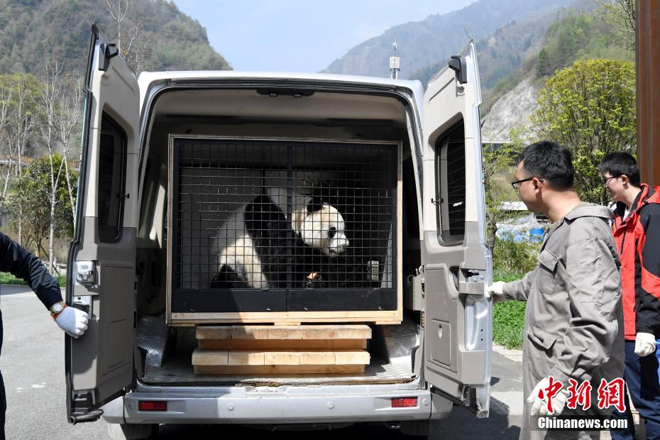 ????? ?????? ????? ??? ?????? ?? ????? ???? ???? 4 ?????