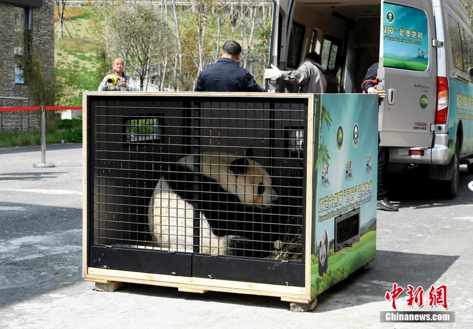 ????? ?????? ????? ??? ?????? ?? ????? ???? ???? 4 ?????