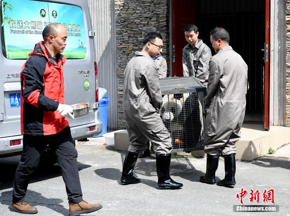 ????? ?????? ????? ??? ?????? ?? ????? ???? ???? 4 ?????