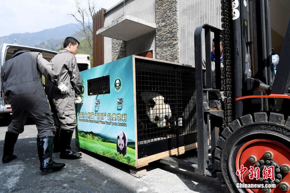 ????? ?????? ????? ??? ?????? ?? ????? ???? ???? 4 ?????