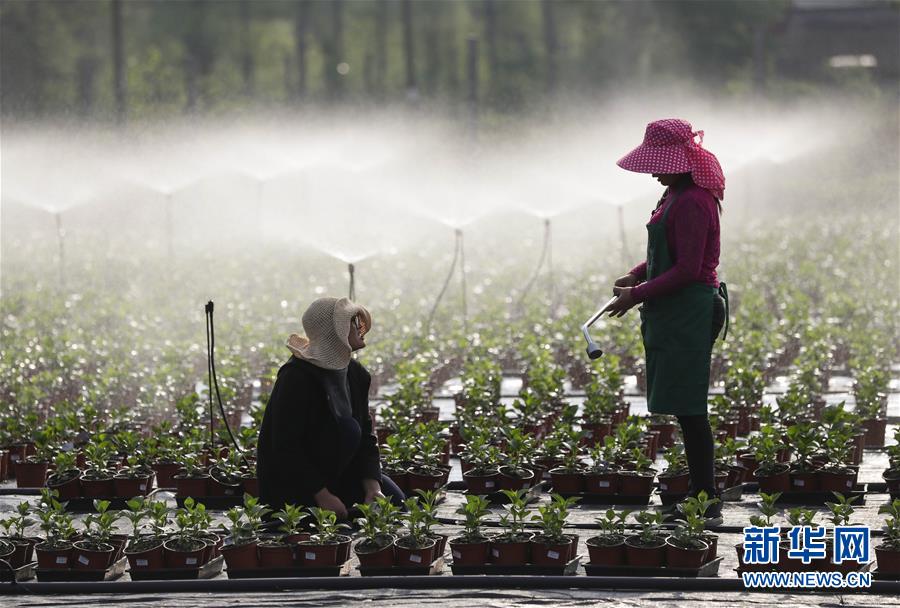 ?? ????? ???? ????? ?????? ???????? 