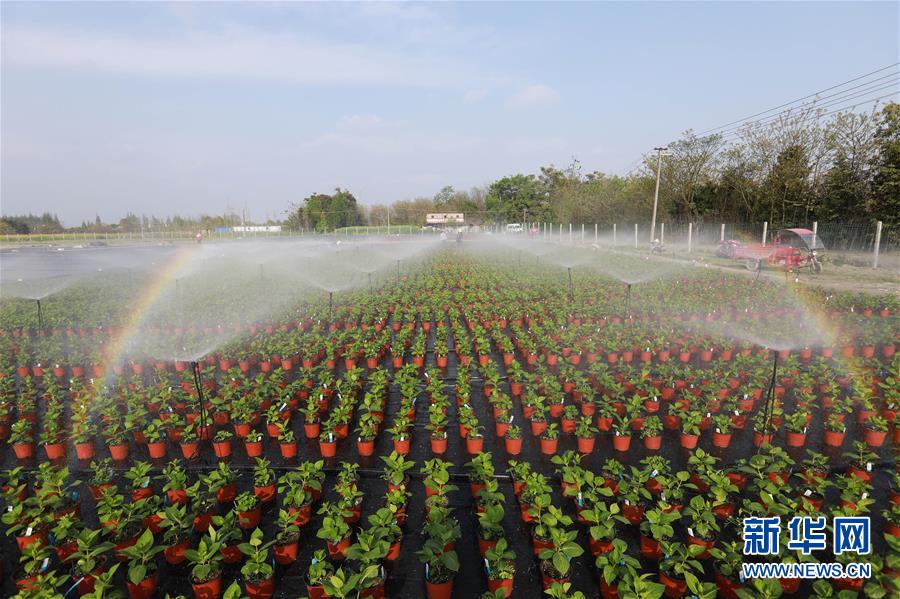 ?? ????? ???? ????? ?????? ???????? 