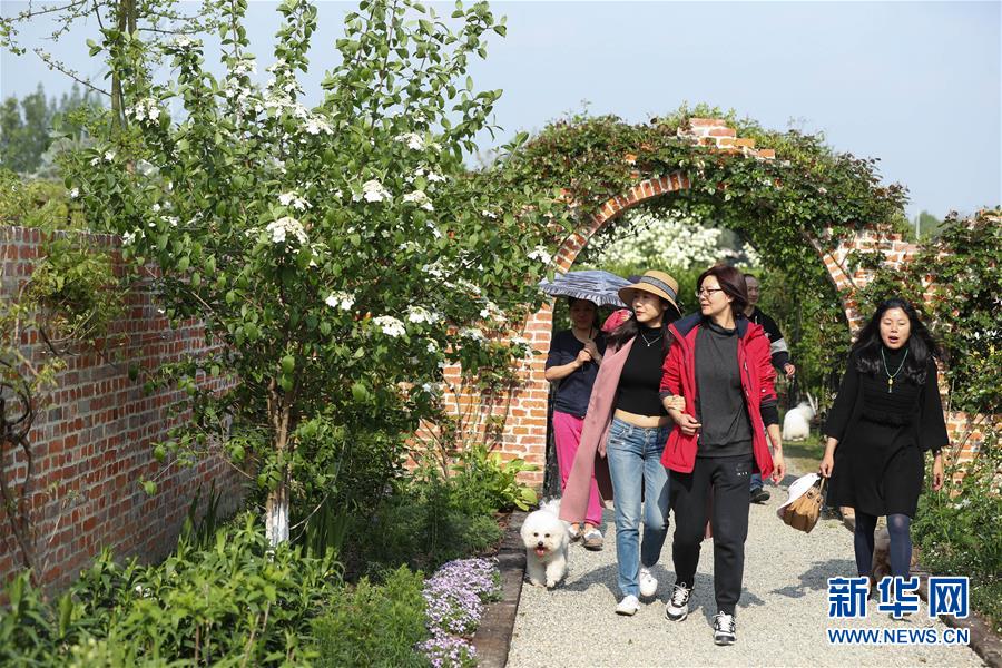 ?? ????? ???? ????? ?????? ???????? 