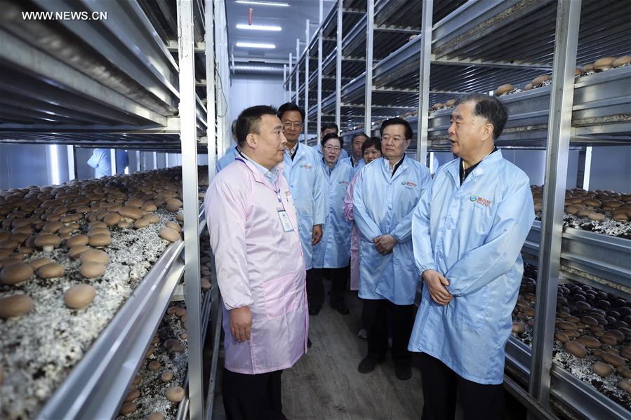 ????? ???? ?????? ??????? ?????? ???? ??? ??????? ?????????? ?? ?????? ???????