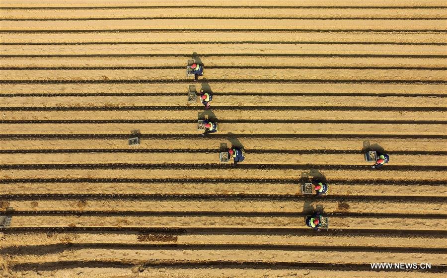 ????? ???????? ?? ????? ?????