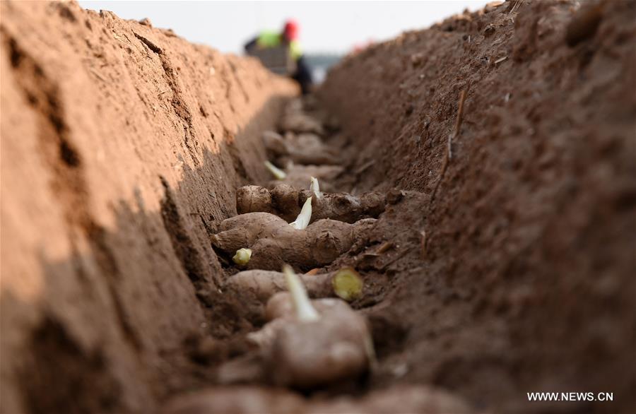 ????? ???????? ?? ????? ?????