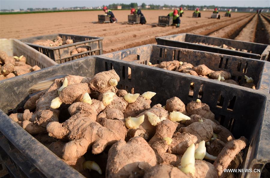 ????? ???????? ?? ????? ?????