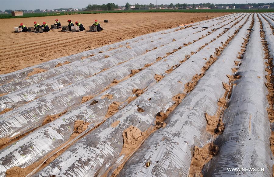 ????? ???????? ?? ????? ?????