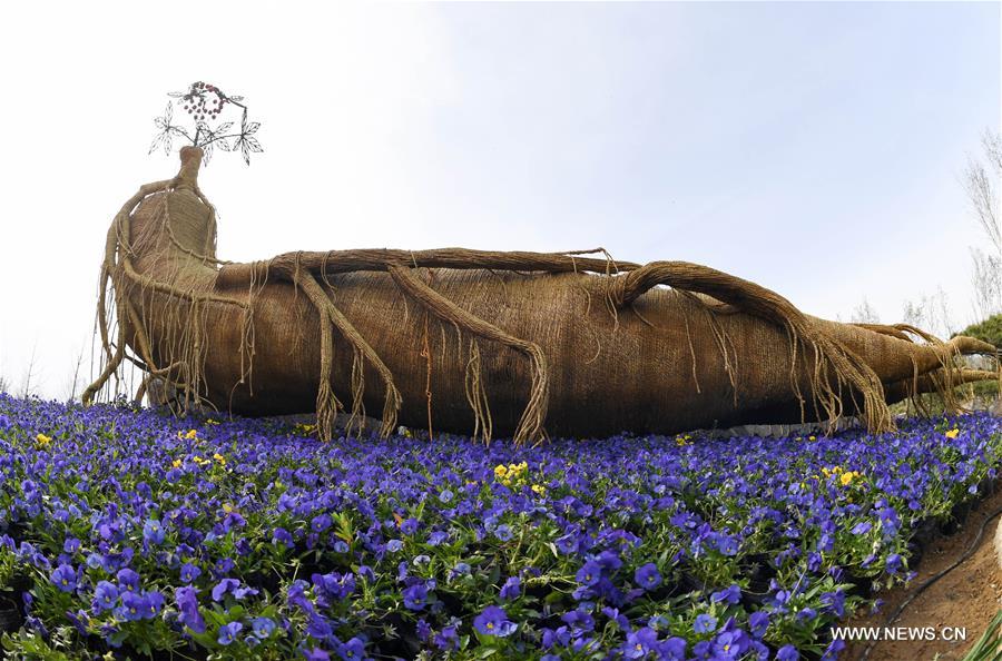 ??????? ??????? ????? ?????? ???? ???? ?????? ??????? 2019