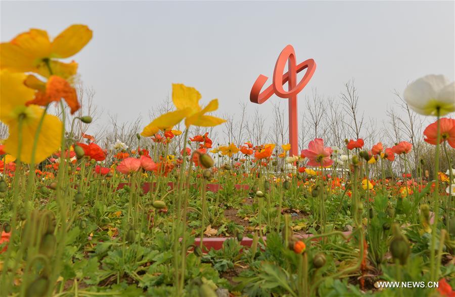 ??????? ??????? ????? ?????? ???? ???? ?????? ??????? 2019