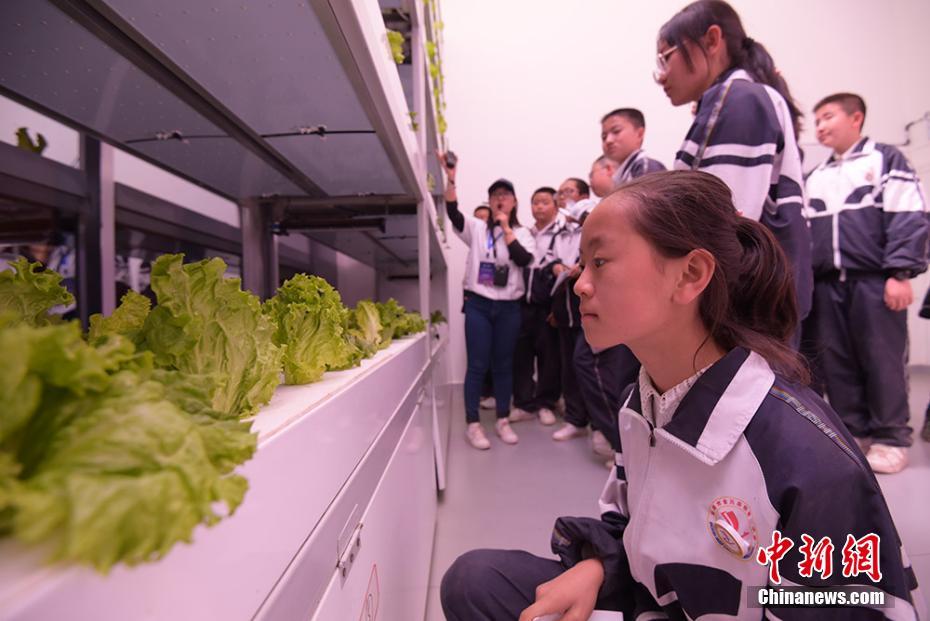 ????? ???? ??? ????? ??????? ?????? ?? ?????? 