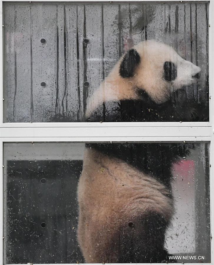 ???? ????? ?? ??????? ??????? ???????? ??? ?????