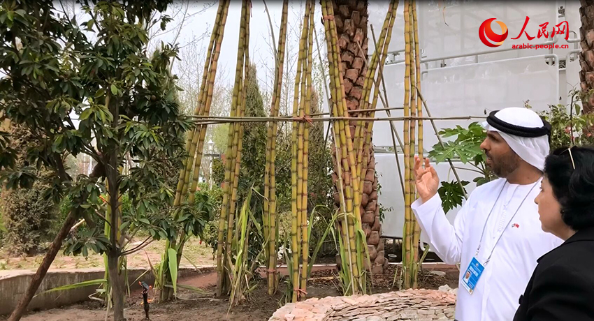 ???? ???????? ????? ????? ?????? ??????? 2019 ????? .. ????? ???????? ???? ??????