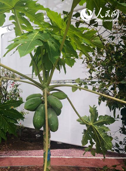 ???? ???????? ????? ????? ?????? ??????? 2019 ????? .. ????? ???????? ???? ??????