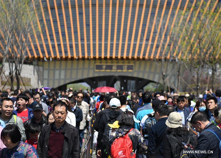 ???? ?? 300 ??? ???? ?????? ???? ??????? ?????? ?? ???? ?? ???? ??? ??????