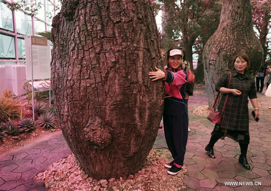 ???? ?? 300 ??? ???? ?????? ???? ??????? ?????? ?? ???? ?? ???? ??? ??????