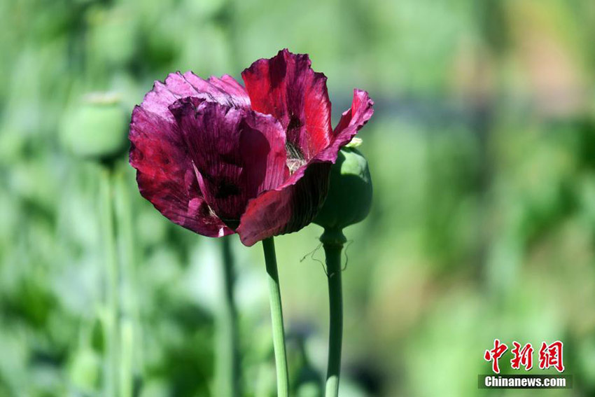 ???? ????? ??????? ???? ??? ?????? ????????