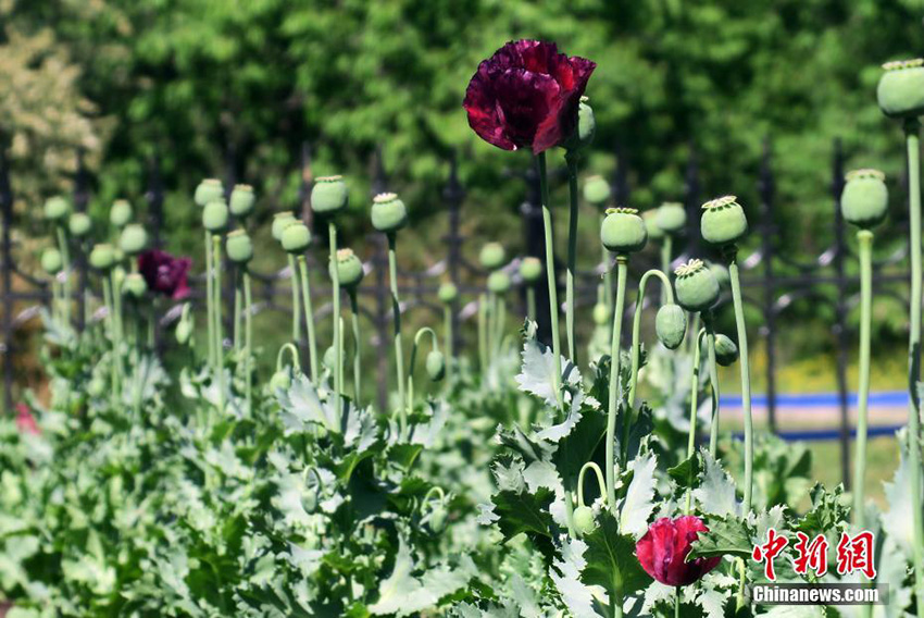 ???? ????? ??????? ???? ??? ?????? ????????