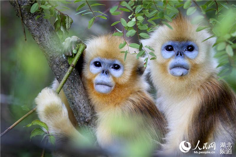 ?????? ??????? ??????? ?? ????? ???? ????? ???? ????