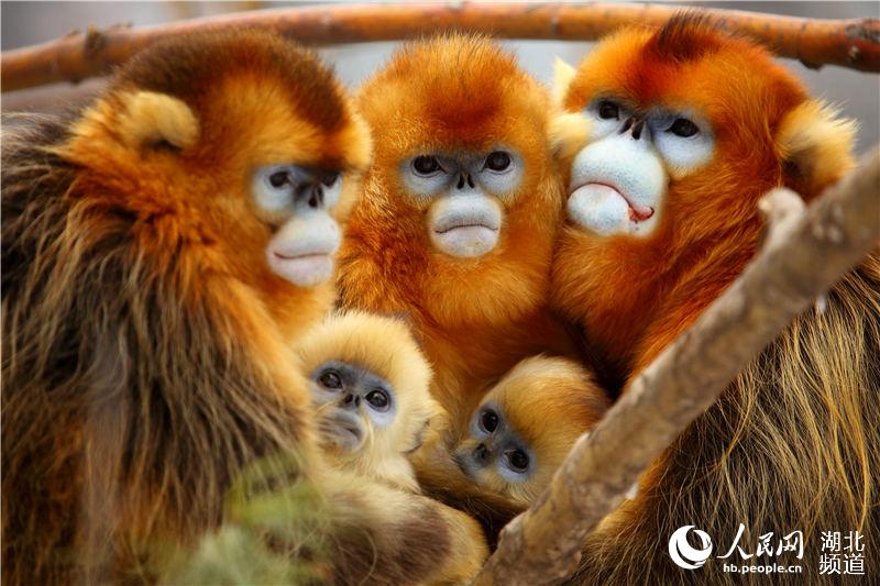 ?????? ??????? ??????? ?? ????? ???? ????? ???? ????