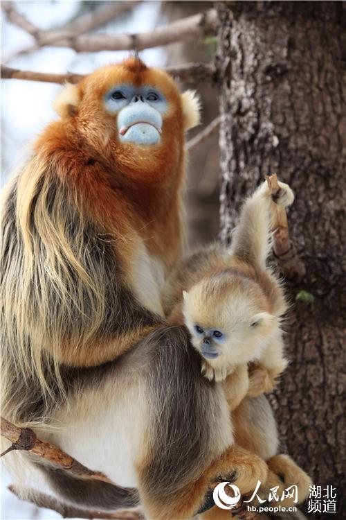 ?????? ??????? ??????? ?? ????? ???? ????? ???? ????