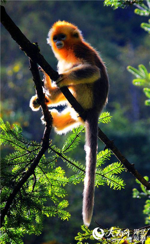 ?????? ??????? ??????? ?? ????? ???? ????? ???? ????