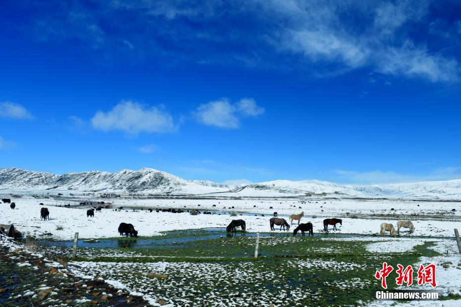 ???? ????? ???? ??? ??????? ????? ????