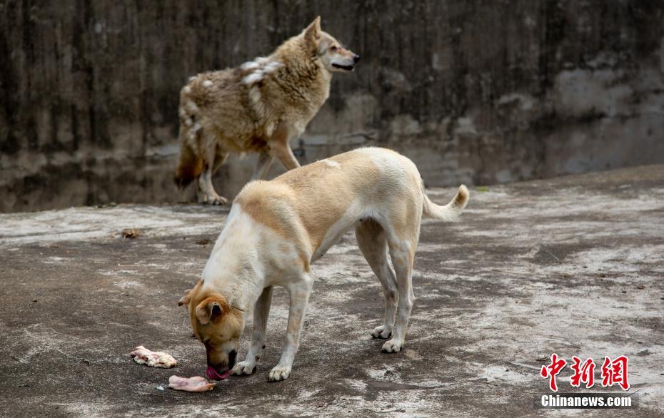 ??? ???? ?????? ?? ???? ?? ????? ????????? ??????