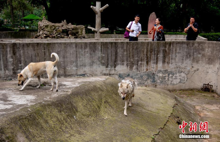 ??? ???? ?????? ?? ???? ?? ????? ????????? ??????