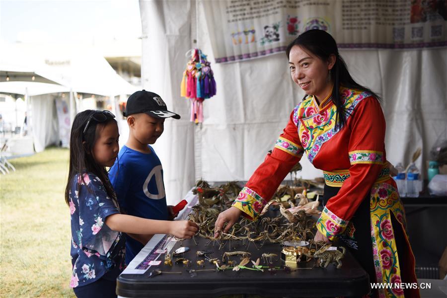 ?????? ?????? ??????? ???????? ???????? ?????? ?? ??? ?????