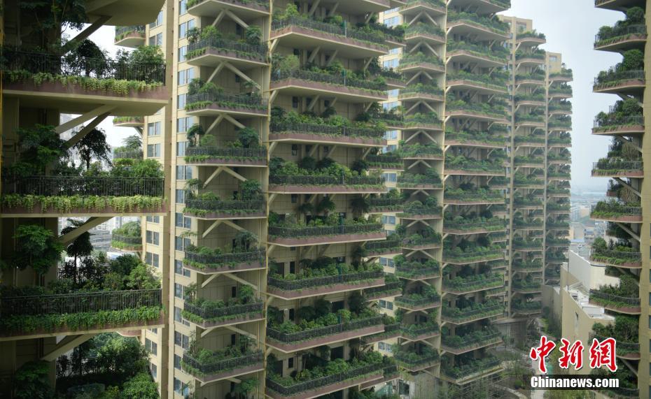 ??????: ???? ???? ???? 