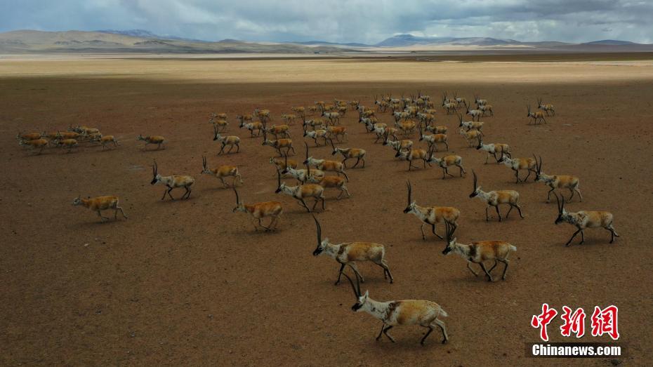 ??????: ????? ????? ????? ?????? ???????