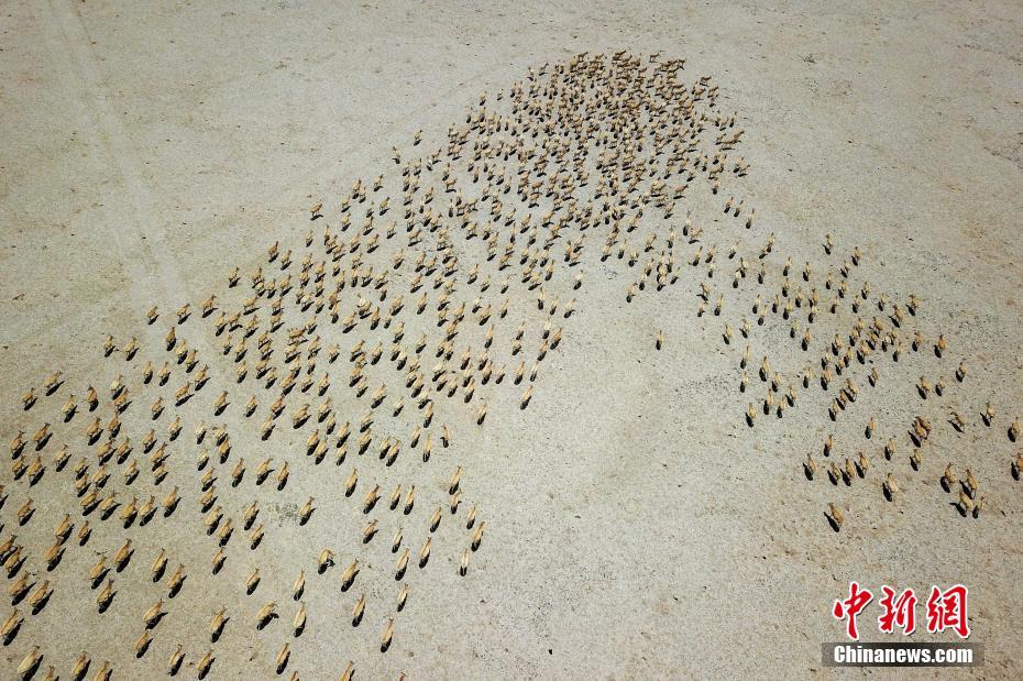 ??????: ????? ????? ????? ?????? ???????