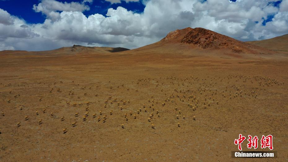 ??????: ????? ????? ????? ?????? ???????