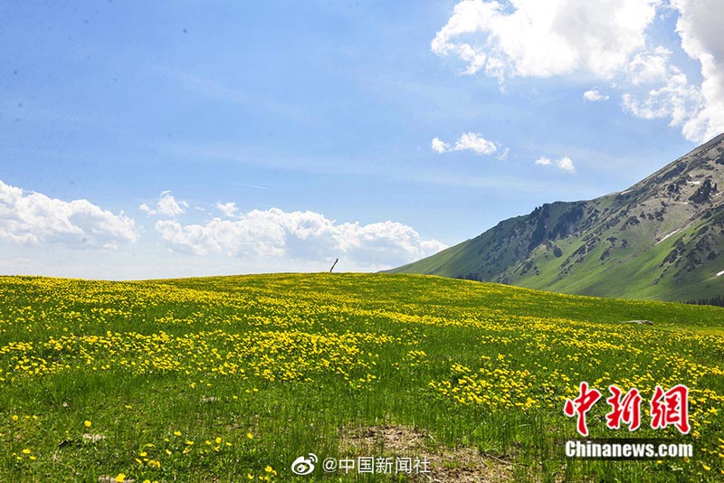 ?????? ???: ??? ?????? ???? ??? ???????? ?????????