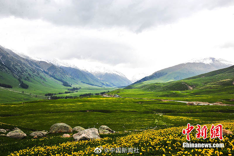 ?????? ???: ??? ?????? ???? ??? ???????? ?????????