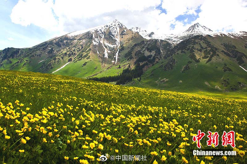 ?????? ???: ??? ?????? ???? ??? ???????? ?????????