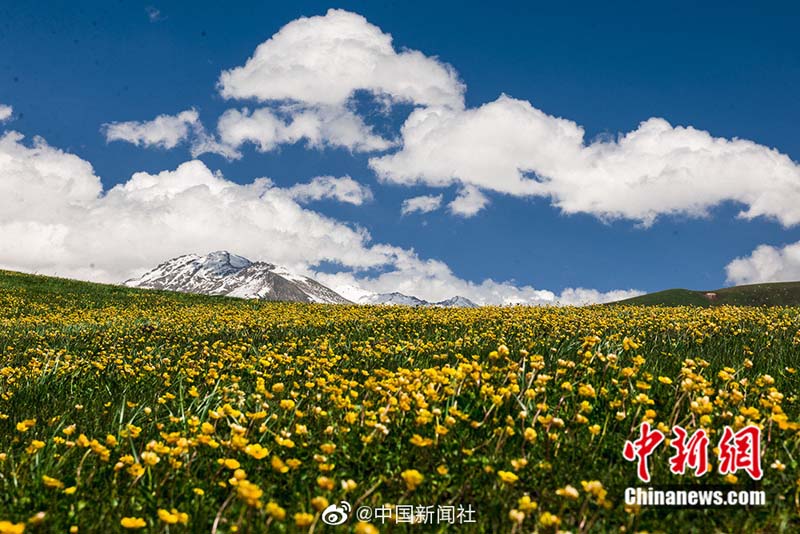 ?????? ???: ??? ?????? ???? ??? ???????? ?????????