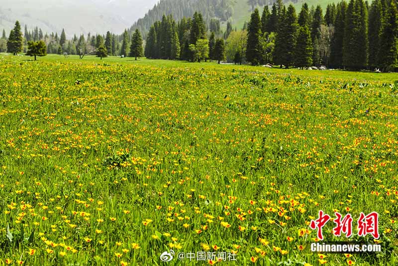 ?????? ???: ??? ?????? ???? ??? ???????? ?????????