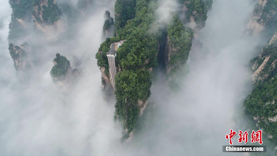 ????? ????? ?????? ??????????? ??? ???? ?????